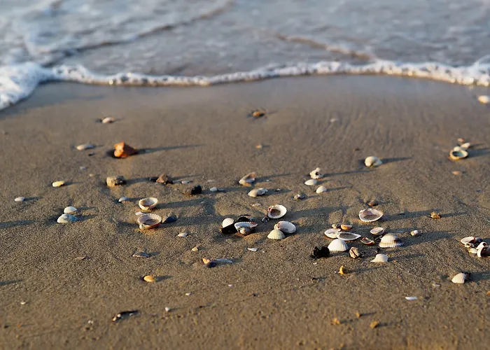 Cozy Flat With Sea View Balcony-beahost